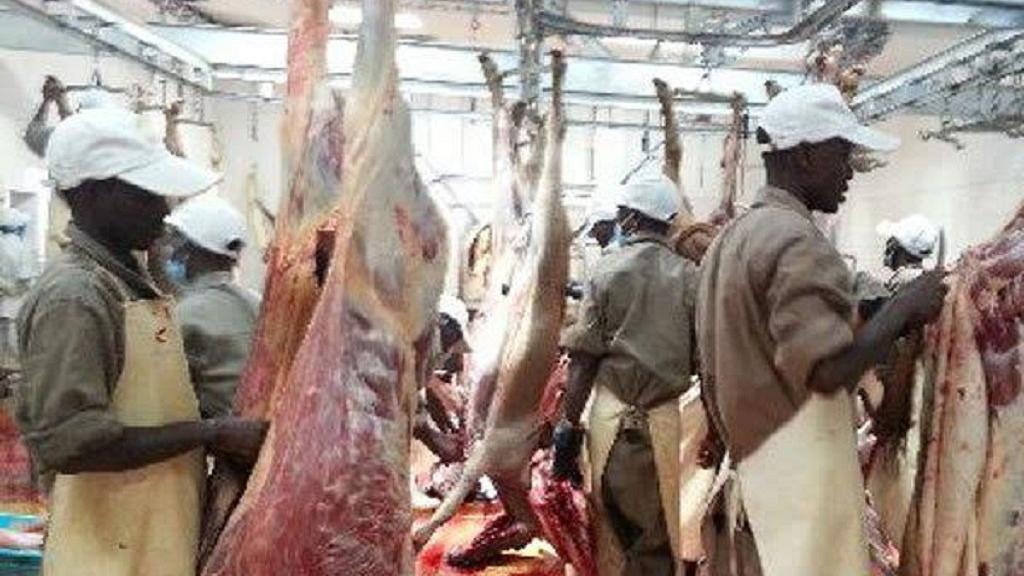 The abattoir buys goats, sheep, cows and camels for slaughter from herders to export to the Middle East, giving families cash to buy food during the drought.